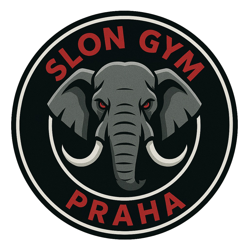 Logo MMA Gym